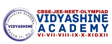 Vidyashine Academy , Sector 34