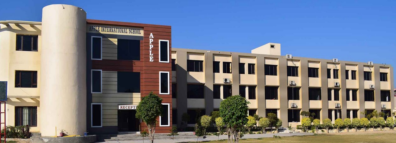 Apple International School