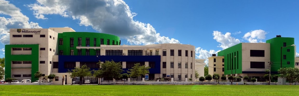 The Millennium School